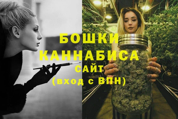 спиды Зеленокумск