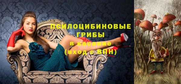 спиды Зеленокумск
