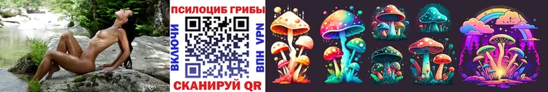 сколько стоит  Шилка  Псилоцибиновые грибы Magic Shrooms 