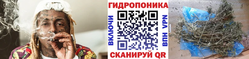 купить наркоту  Шилка  Бошки Шишки White Widow 